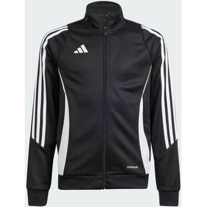 Sweatshirt for kids adidas Tiro 24 Training black IJ9958 152cm
