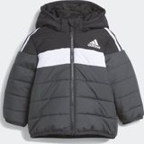 adidas - IN F PAD JKT - Donsjack - Zwart/Wit - Gevoerd