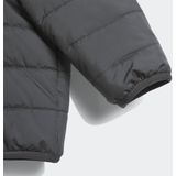 adidas - IN F PAD JKT - Donsjack - Zwart/Wit - Gevoerd