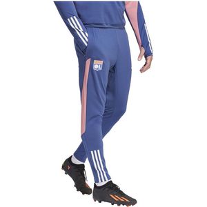 Adidas Olympique Lyon 23/24 Broektraining Blauw