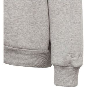 adidas Sportswear Fleece Sweatshirt Kids - Kinderen - Grijs