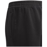 Adidas All Szn Broek Zwart