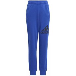 Adidas Essentials Regular Fit Big Logo Cotton Joggers Blauw