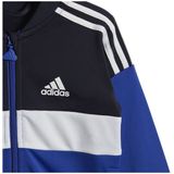 Trainingspak Tiberio - Geribbelde Kraag - Lange Mouwen - Zwart