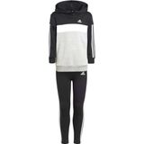 Adidas - Trainingspak - Multikleur - Katoen en Gerecycled Polyester