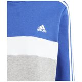 adidas Sportswear Tiberio 3-Stripes Colorblock Fleece Hoodie Kids - Kinderen - Blauw