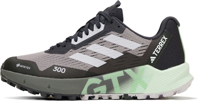 Adidas Terrex Agravic Flow 2 Goretex Trailrunningschoenen Grijs Vrouw