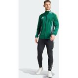 adidas - Tiro 24 Competition - Trainingsjack - Groen - Heren