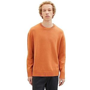 TOM TAILOR Denim Herentrui met ronde hals en losse pasvorm, 32247-soft herfst rust, L