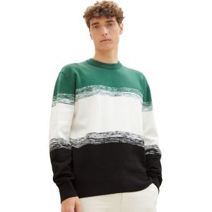 TOM TAILOR Denim Herentrui, 32773 - Groen Zwart Gradient Stripe, XXL
