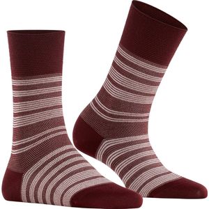 FALKE - Sensitive Sunset Stripe - Damessokken - Gestreept - Katoen - Zonder Elastiek