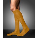 FALKE - No. 9 - Kniekousen - Geel