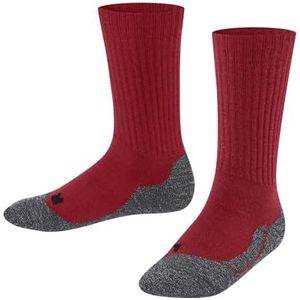FALKE Socken Active Warm (1-Paar) mit weicher Plüschsohle