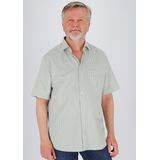 ETERNA - Groen Gestreept Overhemd - Katoen - Korte Mouwen - Kent Kraag