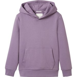 TOM TAILOR Sweatshirt voor jongens en kinderen, 32259 - Grijs Paars, 128 cm