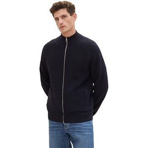 Tom Tailor, Heren, Truien, Blauw, Maat: M