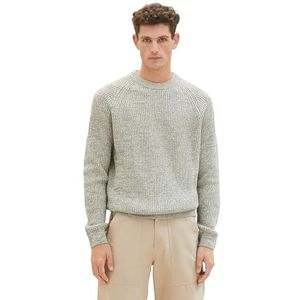 TOM TAILOR 1039709 heren sweater, 34248 - Beige Mint Mouline