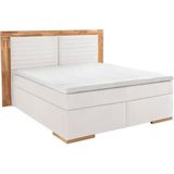 Places of Style Boxspringbett »Cup«, mit LED-Beleuchtung, Massivholzrahmen und Topper, in 2 Härtegraden