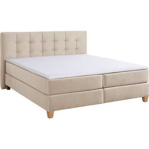 Home affaire Boxspringbett "Moulay", inkl. Topper, in 3 Härtegraden, TFK auch in Härtegrad 4