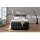 Guido Maria Kretschmer Home&Living Boxspringbett "Wehma", inkl. Topper in 3 verschiedenen Matratzen, auch in Samtstoff