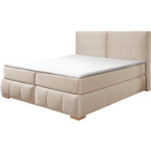 Guido Maria Kretschmer Home&Living Boxspringbett »Wehma«, inkl. Topper in 3 verschiedenen Matratzen, auch in Samtstoff