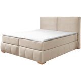 Guido Maria Kretschmer Home&Living Boxspringbett "Wehma", inkl. Topper in 3 verschiedenen Matratzen, auch in Samtstoff