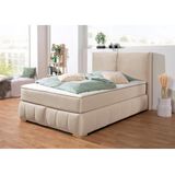 Guido Maria Kretschmer Home&Living Boxspringbett "Wehma", inkl. Topper in 3 verschiedenen Matratzen, auch in Samtstoff