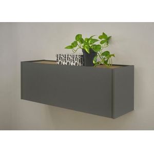 INOSIGN Hangkast GiRON/CiTY, wandgarderobe in vier kleuren, wandkast Wandmeubel, tijdloos modern, gezellig thuiskantoor, breedte 100 cm