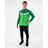 Jako Iconic Polyestervest Heren - Zachtgroen / Sportgroen