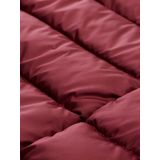 Tom Tailor Denim - Lichtgewicht Gewatteerde Jas - Met Capuchon - Voor Vrouwen