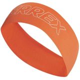 adidas Terrex Terrex Aeroready Headband Hoofdband (Heren |rood)