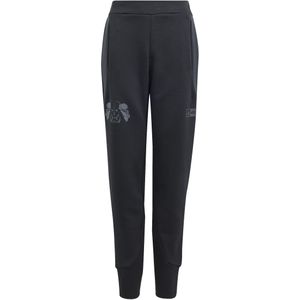 Jogginganzug Kind adidas SW ZNE