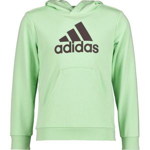 Adidas Sportswear French Terry Hoodie Lichtgroen/Grijs