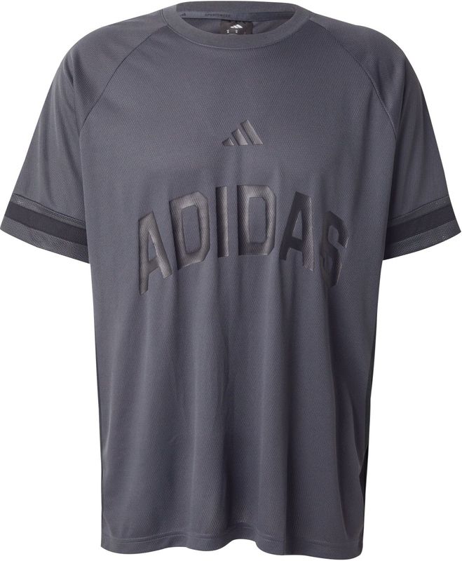 adidas Heren Seasonal Essentials US Sport T-Shirt, dark grey, XXL