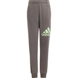adidas - Essentials - Joggingpak - Met Groot Kinderlogo