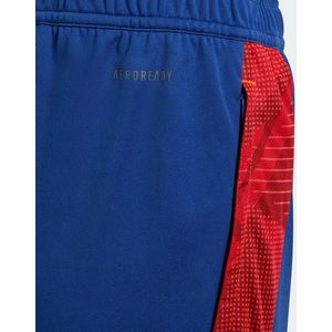 Trainingsbroek voor kinderen Espagne Euro 2024
