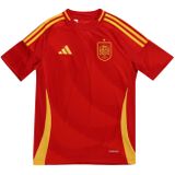 adidas - Voetbalshirt - Spanje Euro 2024 - Junior - AEROREADY