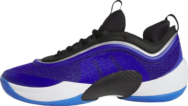 adidas D.O.N. Issue 5 - Basketbalschoenen