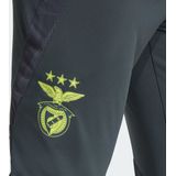 2024-2025 Benfica Training Pants (Night Grey)