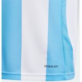 Argentinië 24 Thuisshirt Kids