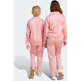 adidas - Firebird - Sportbroek - Blauw - 100% Gerecycled Polyester