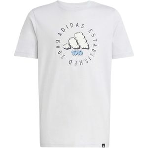 adidas - Fun Graphic - T-shirt - Grijs - Korte Mouwen