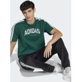 Adidas Codes Collegiate Linear Graphic T-shirt Met Korte Mouwen