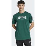 Adidas Codes Collegiate Linear Graphic T-shirt Met Korte Mouwen