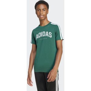 adidas - Codes Collegiate Graphic - T-shirt - Junior