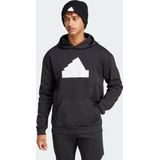 Future Icons Badge of Sport Hoodie