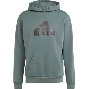 adidas Sportswear Future Icons Badge of Sport Hoodie - Heren - Grijs