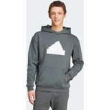 adidas Sportswear Future Icons Badge of Sport Hoodie - Heren - Grijs