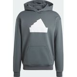 adidas Sportswear Future Icons Badge of Sport Hoodie - Heren - Grijs