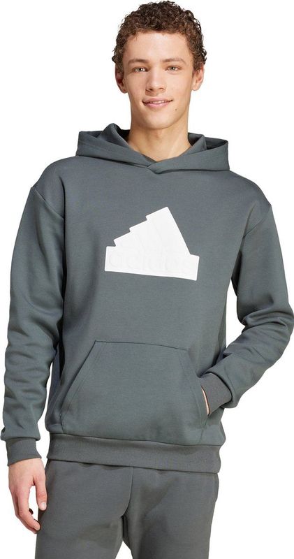 adidas Sportswear Future Icons Badge of Sport Hoodie - Heren - Grijs